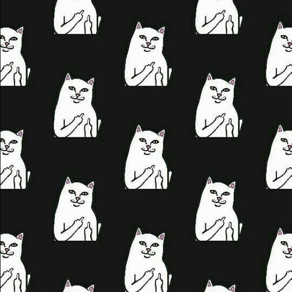 Meet your Posher, Isabella - Picture 1 of 1